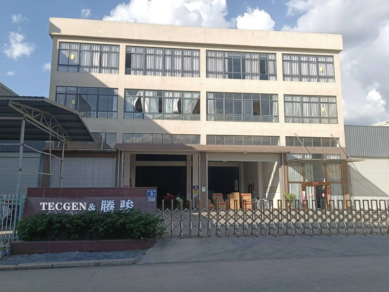 China FUJIAN TECGEN POWER CO., LTD. Perfil de la compañía